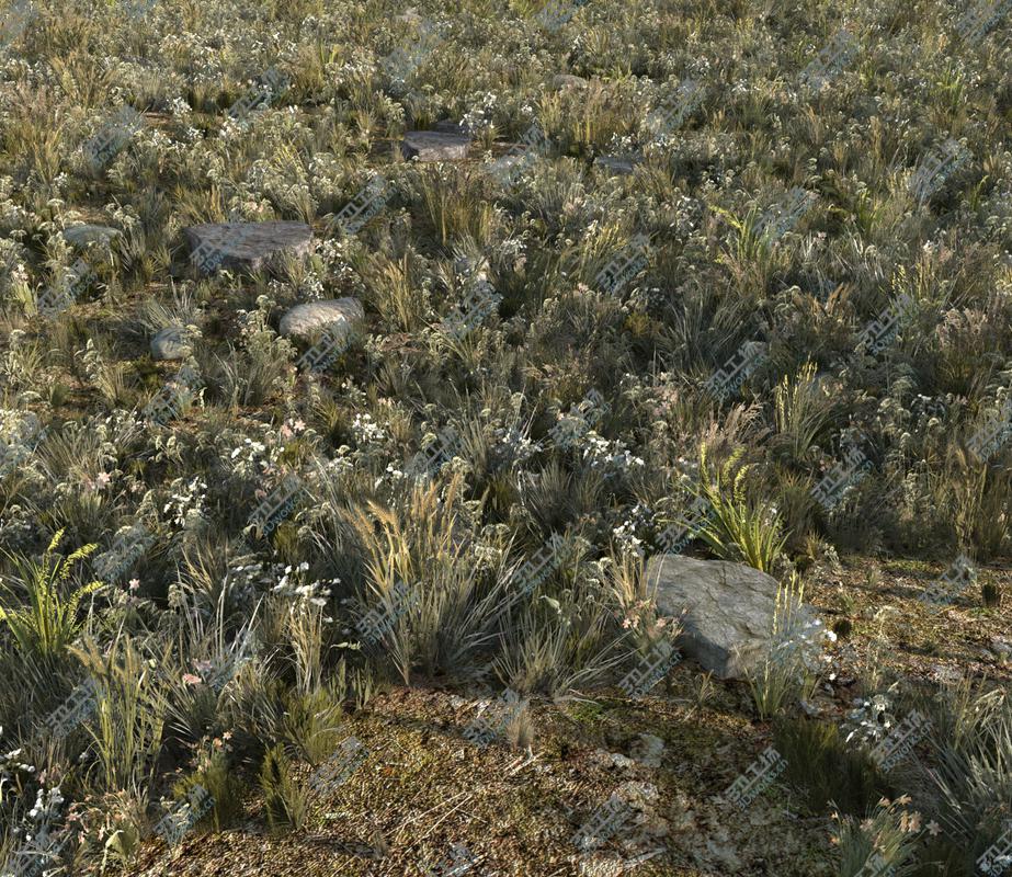 images/goods_img/20210313/Wild Grass Field (Real-time) 3D model/2.jpg